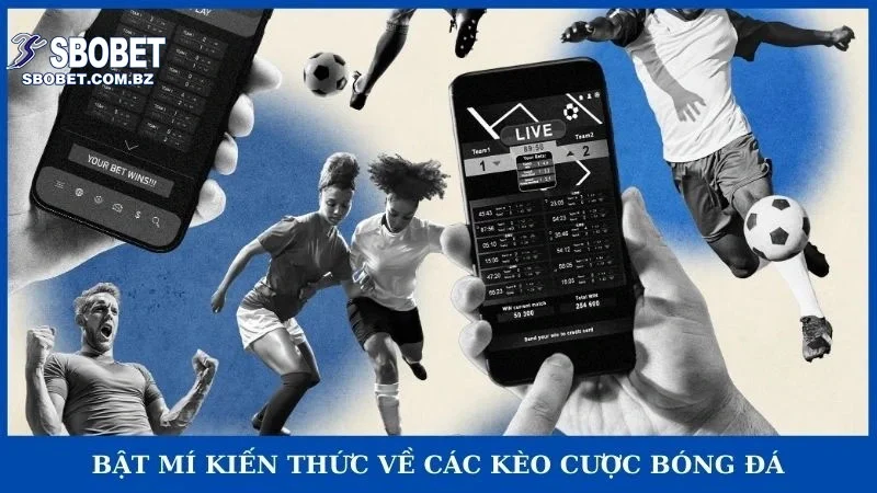 Bật mí kiến thức về các kèo cược bóng đá