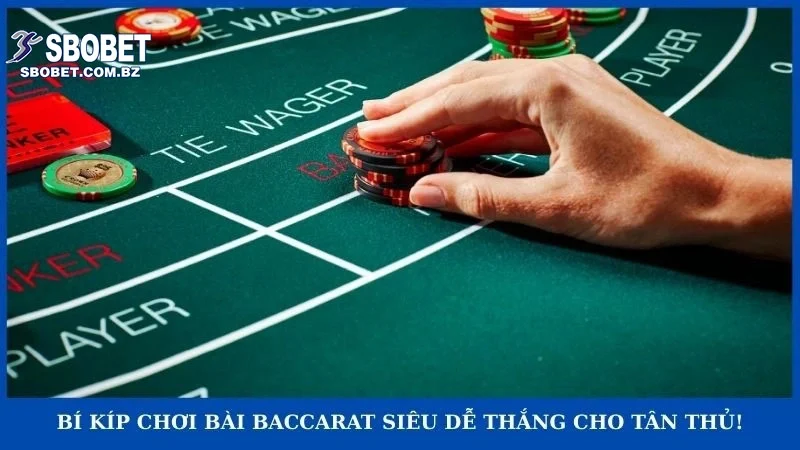 Bí kíp chơi bài baccarat siêu dễ thắng cho tân thủ!