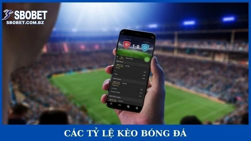 Các tỷ lệ kèo bóng đá