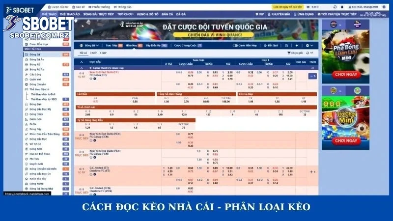 Cách đọc kèo nhà cái - phân loại kèo
