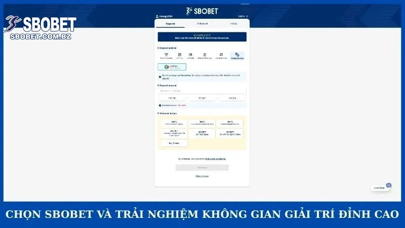Chọn Sbobet và trải nghiệm không gian giải trí đỉnh cao