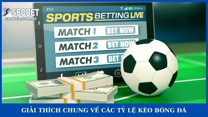 Giải thích chung về các tỷ lệ kèo bóng đá