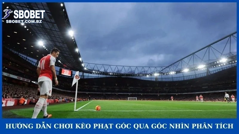 Hướng dẫn chơi kèo phạt góc qua góc nhìn phân tích