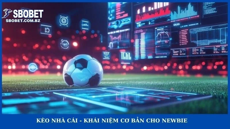 Kèo nhà cái - khái niệm cơ bản cho newbie