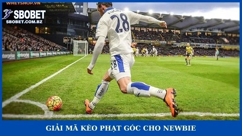 Kèo phạt góc - giải mã kiến thức chung