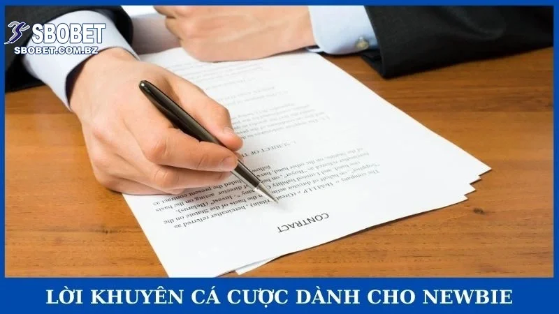Lời khuyên cá cược dành cho newbie