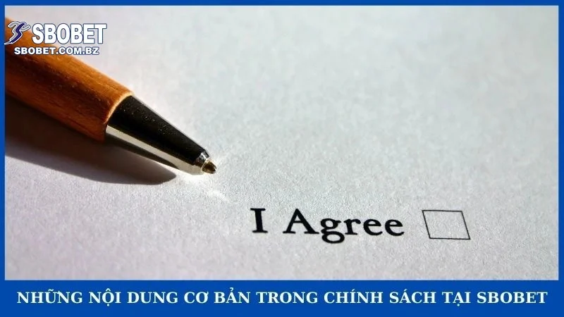 Những nội dung cơ bản trong chính sách tại Sbobet